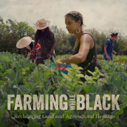 Film Screening: Farming While Black