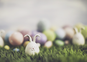 Easter Chocolate Workshop