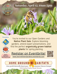 Home Ground Habitats Spring Open Garden & Native Plant Sale