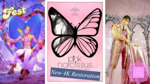 Pink Narcissus - New 4K Restoration