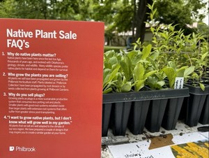 Native Plant Weekend