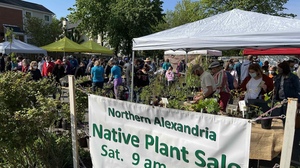 Spring 2025 Northern Alexandria Native Plant Sale