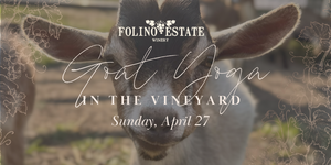 Baby Goat Yoga in the Vineyard