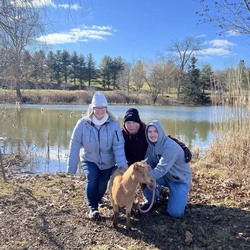Goat Cuddles at Lyman Orchards