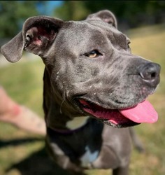 Provision Living at West Clermont