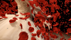 Opening of Three New Shows