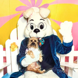 THE SHOPS AT MONTEBELLO PET PHOTOS WITH EASTER BUNNY