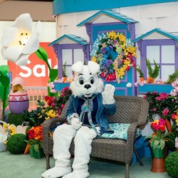 FOX VALLEY INVITES THE COMMUNITY TO TAKE  PICTURE-PERFECT PHOTOS WITH THE EASTER BUNNY