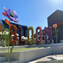 THE CULVER STEPS TO HOST FOURTH ANNUAL ‘BLOOMS ON THE STEPS’ EVENT