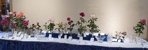 Rose Society of Glendale 2025 rose show