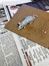 Teen DIY: Polymer Clay Study Buddies