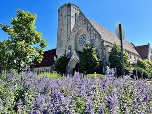 Celebrate Easter Sunday at Webster Hills