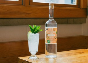 Gin & Tonic Day with Letherbee Distillers