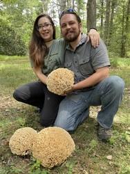 Spring Mushroom Hunting In Rhode Island