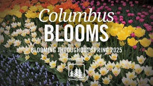 Columbus Blooms