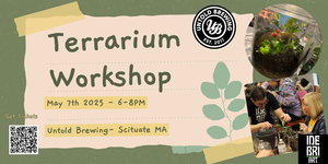 Terrarium Workshop at Untold Brewing Scituate