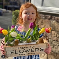 🌷 Celebrate Spring with DIY Flower Box Workshop (Family friendly, ages 5+)  🌷 Pre-Registration Req