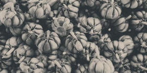 Sunday Supper at L'Ostrica: Tuscany