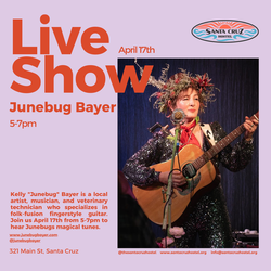 Junebug's Porch Serenade at Santa Cruz Hostel