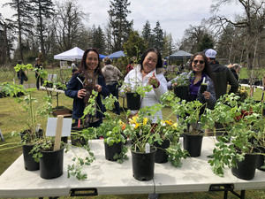 Gladstone Arbor Day & Plant Sale 2025