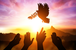 The Spirituality of Interdependence: Forging Peace by Being Franciscan