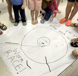 Worm Races