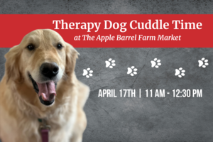 Therapy Dog Cuddles at Lyman Orchards