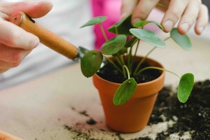 Earth Day: Craft N' Plant Activity at Lyman Orchards