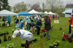 Redding Garden Club Plant Sale
