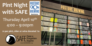 Pint Night for the Ponies