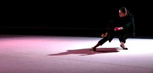 SHADOWS ACROSS OUR EYES, APRIL 25TH AND 26TH 7PM; APRIL 27 2PM, SATORI 815 ALMAR AVE. UNIT 9 SC, CA