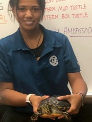 Spring Sensation: Animal Encounter