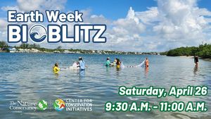 City Nature Challenge - Shoreline BioBlitz!