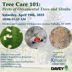 Tree Care 101: Pests of Ornamental Trees and Shrubs