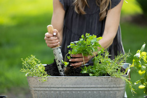 Planting Herbs in Containers presented by The St. Louis Herb Society