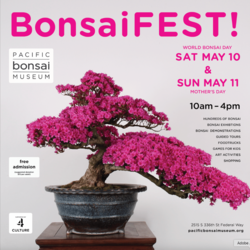 BonsaiFEST!