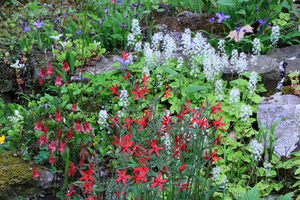 Nature Preserve Walk