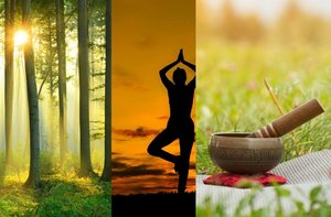 Root & Bloom: A Spring Wellness & Nature Retreat Day