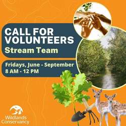 Wildlands Conservancy – Stream Team Volunteers: Fry’s Run Park