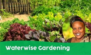 Waterwise Gardening