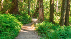 Hiking Singles Social Ages 21-30 | Southeastway Park Indianapolis