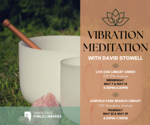 Vibration Meditation with David Stowell