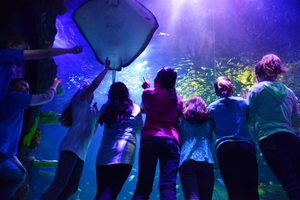 Homeschool Week at SEA LIFE Aquarium - Spring Homeschooling Event in Metro Detroit