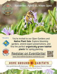 Join us for our first Plant Sale This Year