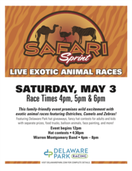 Derby Day Safari Sprint at Delaware Park Casino
