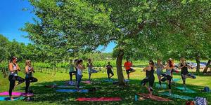 Vino Vinyasa at Fall Creek Vineyards at Driftwood