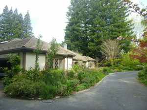 Get a different view of plants