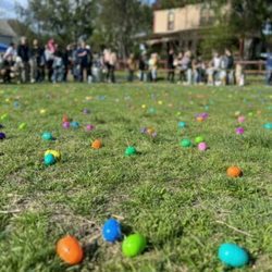 Farmstead Eggstravaganza