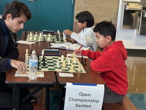 2nd Annual Pleasanton Chess Championships (All Ages and Levels, Trophies and Cash Prizes)