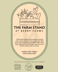 The Farm Stand at Berry Farms